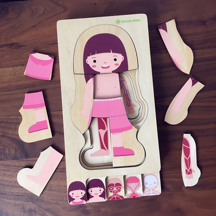 Деревянный человеческого тела головоломки для детей, развивающие ToysBoys тело девушки Структура Деревянные Детские пазлы Дети Образование