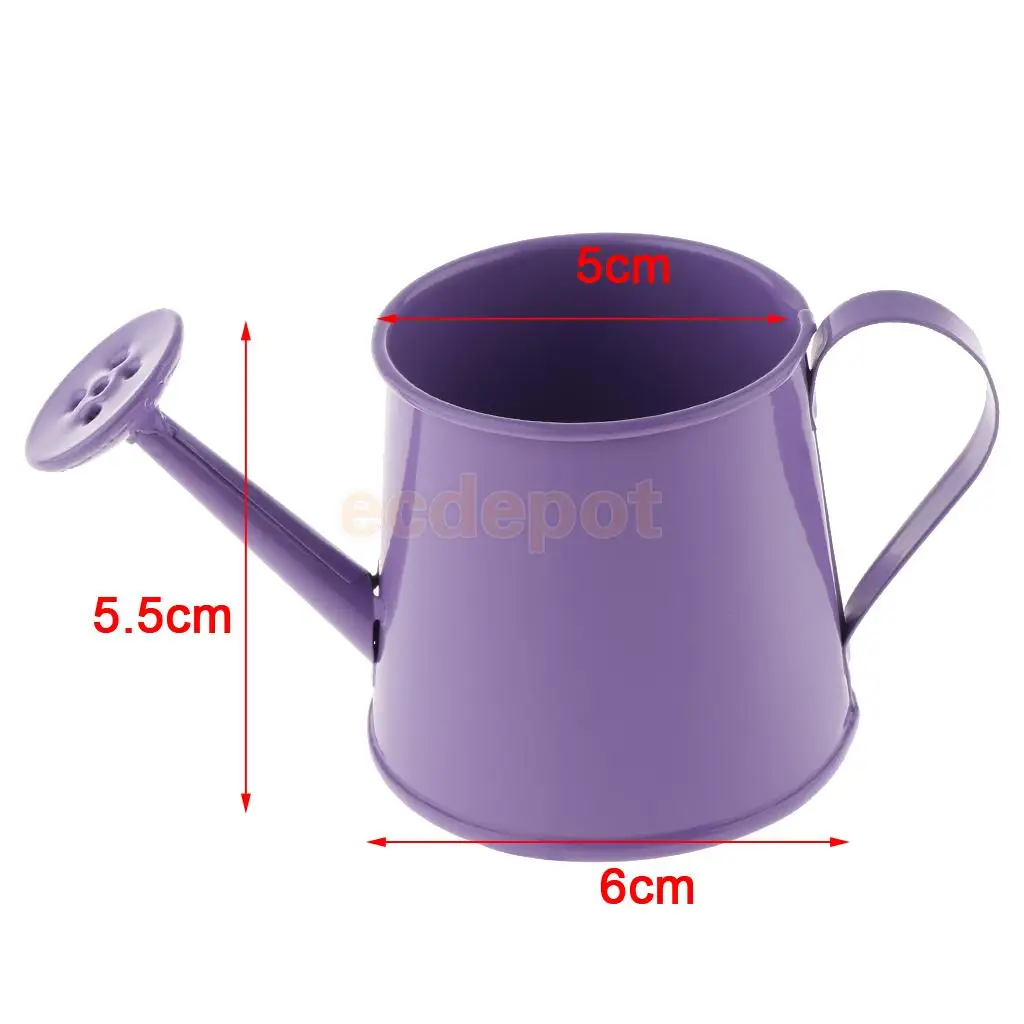 Rustic Vintage Iron Metal Watering Can Flower Bucket Vases Garden Balcony Home Office Decor