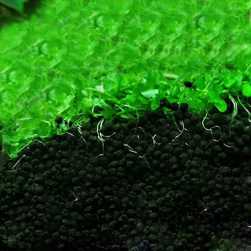Sand Aquarium Fertilizer Aquarium Substrate Aquatic Float Grass Clay Aquarium Soil For