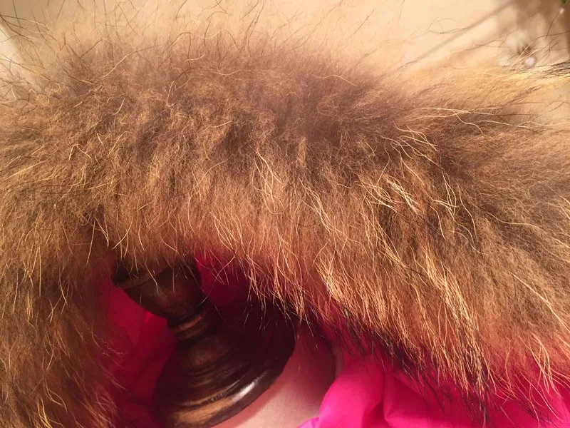 coat12