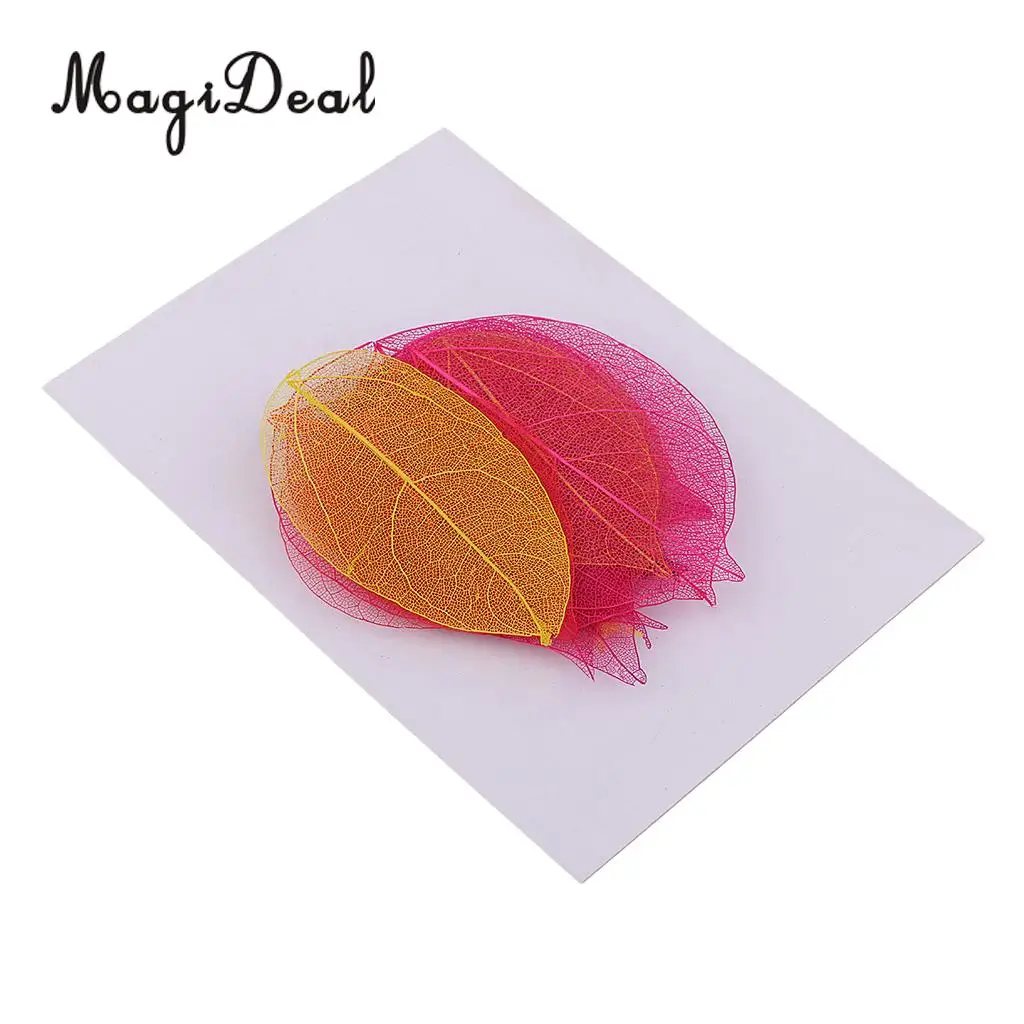 20 Pieces Pressed Dried Linden Leaves Bodhi Leaf Skeleton Leaves for Art Craft Scrapbooking Home Decoration