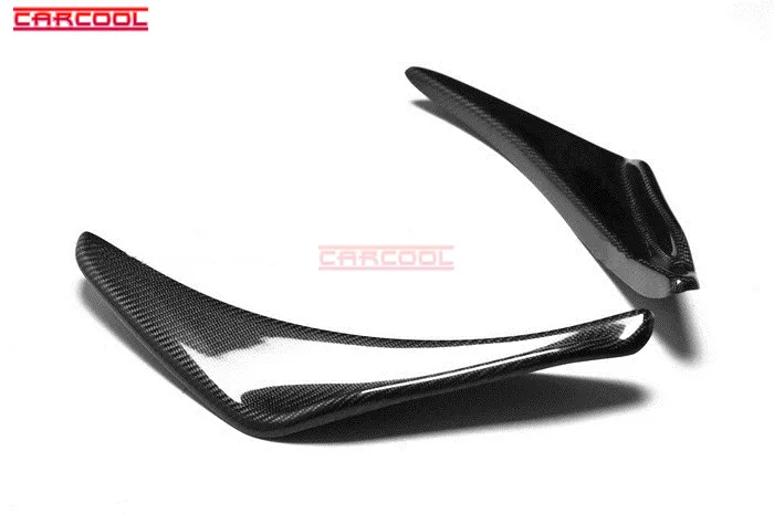 Honda Canard (1)