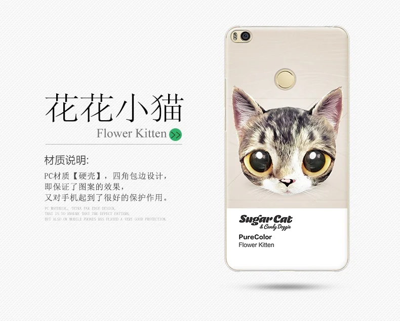 20170717_145137_1176