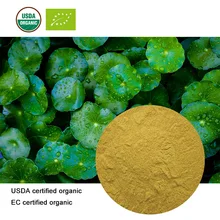 USDA и EC сертифицированный органический гидрокотиль Азиатский экстракт 20:1 центелла азиатская asiaticoside Hydrocotyle