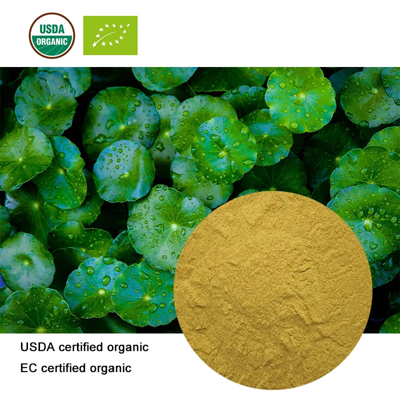 

USDA and EC Certified Organic Hydrocotyle asiatica extract 20:1 Centella asiatica Gotu Kola asiaticoside hydrocotyle