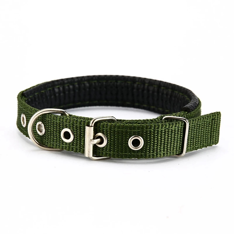 dog collar for dogs (10)