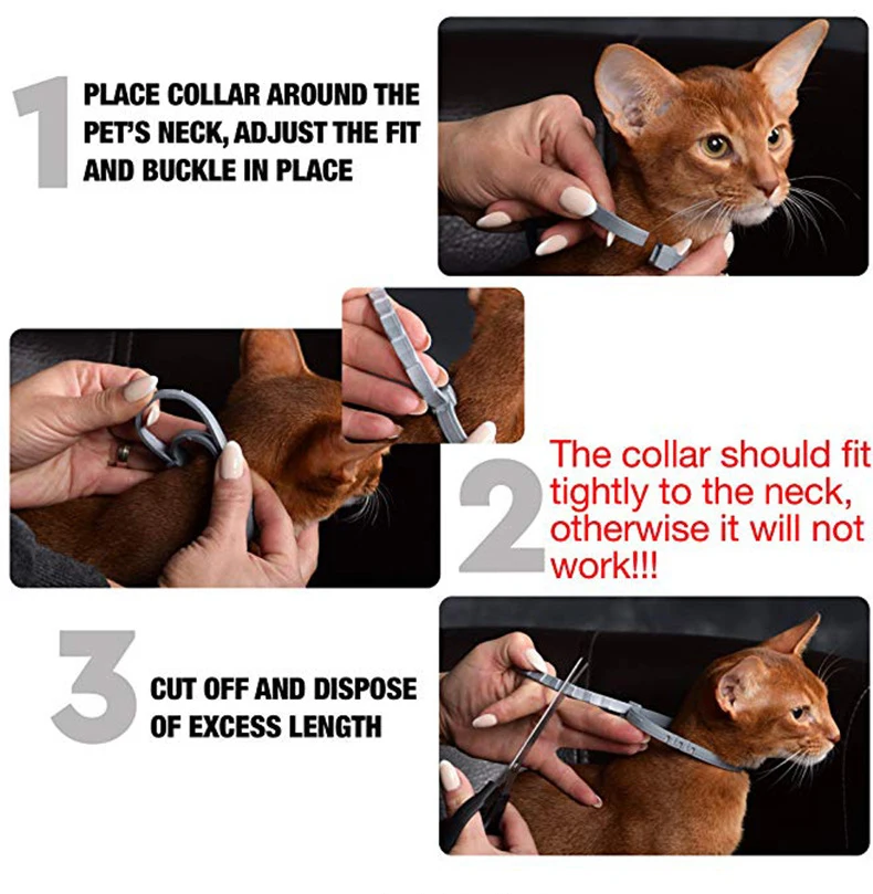 Safety Pet Dog Cat Outdoor Anti Flea Mite Tick Collar Neck Strap Adjustable Anti-insect Dogs Collars Cat Neck Straps Accessories (7)