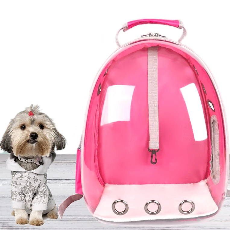 clear cat backpack carrier