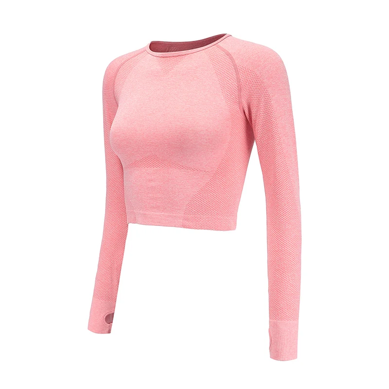 Us 10 12 35 Off Howsports Women Yoga Top Female T Shirt Sports Top Fitness Shirt Pink Seamless Workout Running Sports Wear For Women Gym Top In Yoga Us 10 12 35 Off Howsports Women Yoga Top Female T Shirt Sports Top Fitness Shirt Pink Seamless Workout Running Sports Wear For Women Gym Top In Yoga