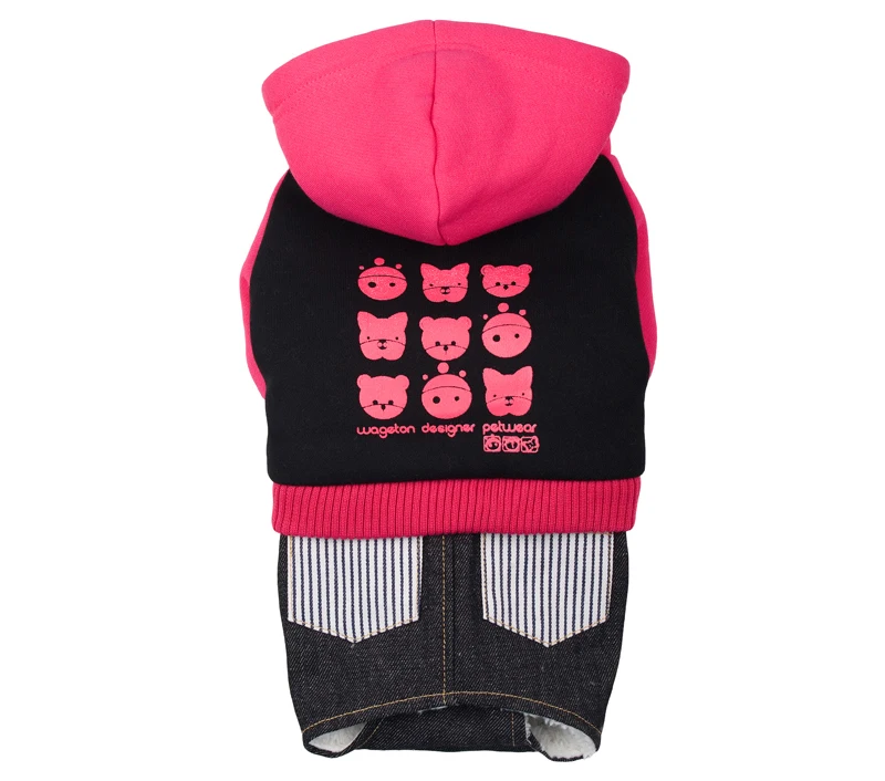 10 dog shorts