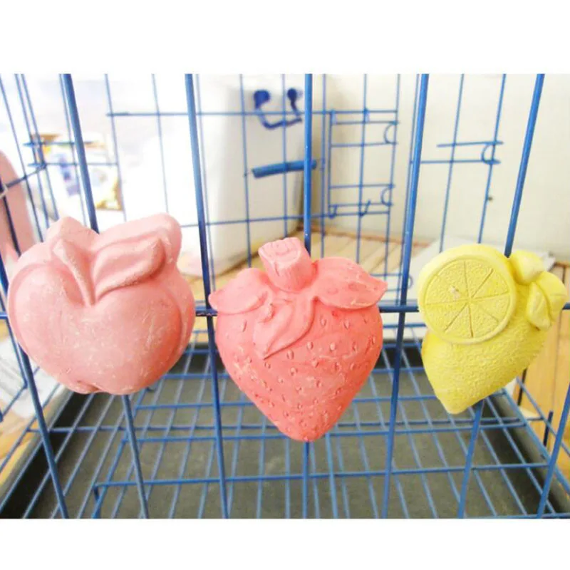 Title 2, Guinea Pig Hamster Rabbit Teeth Fruit Grinding ...