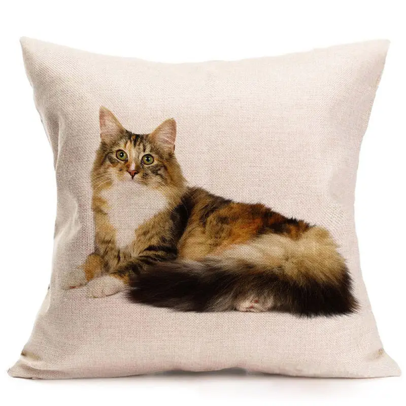 Cute Cat Pillow Case Animal Black Cat Cushion Cover Pet Pillow Covers for Home Car Decorations Pillowcase