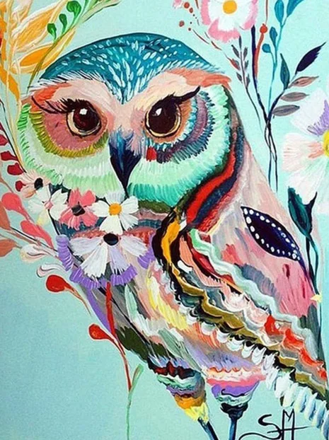 HOMFUN-Full-Square-Round-Drill-5D-DIY-Diamond-Painting-Cartoon-animal-owl-3D-Embroidery-Cross-Stitch.jpg_640x640 (7)