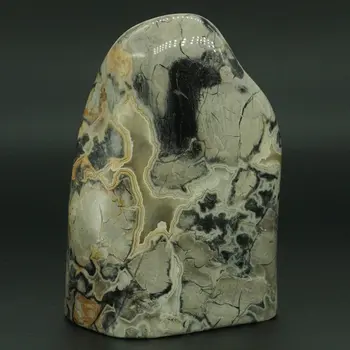 

484g Natural Silver Leaf Jasper Palm Stone Crystal Mineral Specimen Rock Home Decor