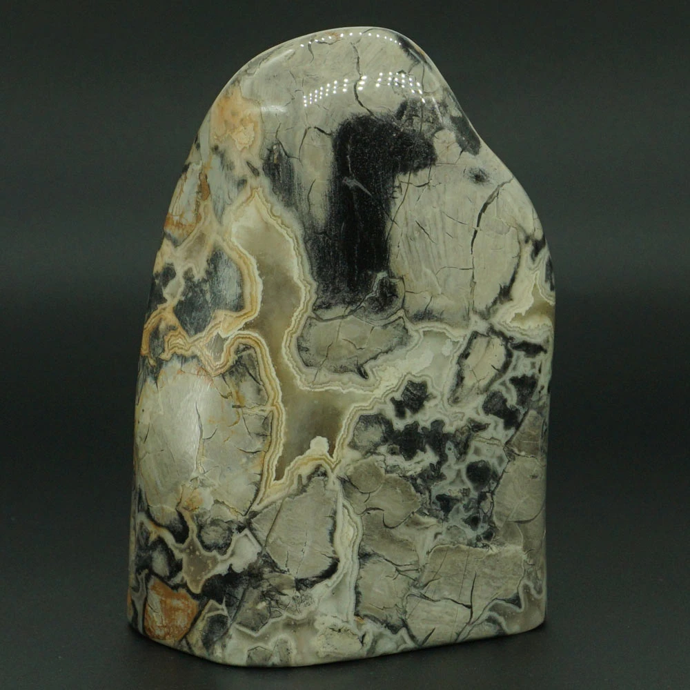 484g Natural Silver Leaf Jasper Palm Stone Crystal Mineral Specimen Rock Home Decor Stones Aliexpress