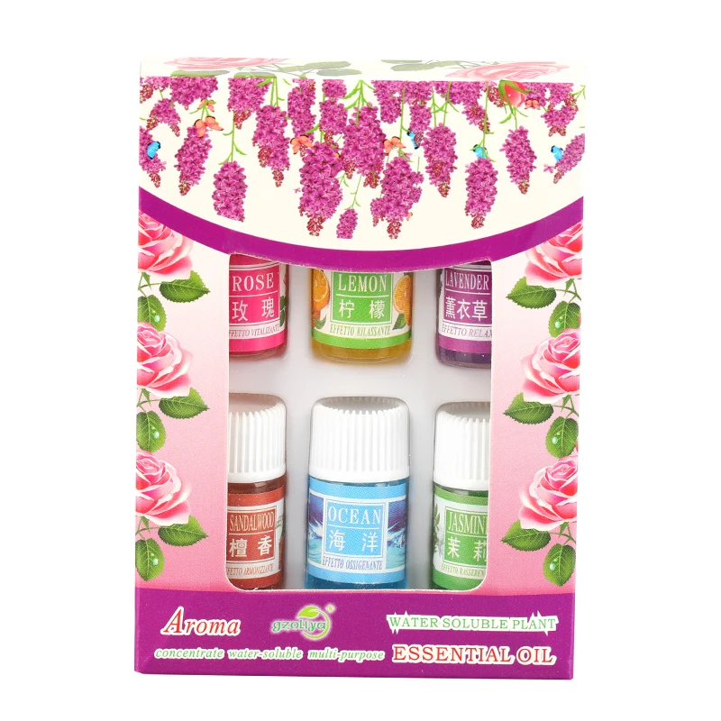 6O8A9512 