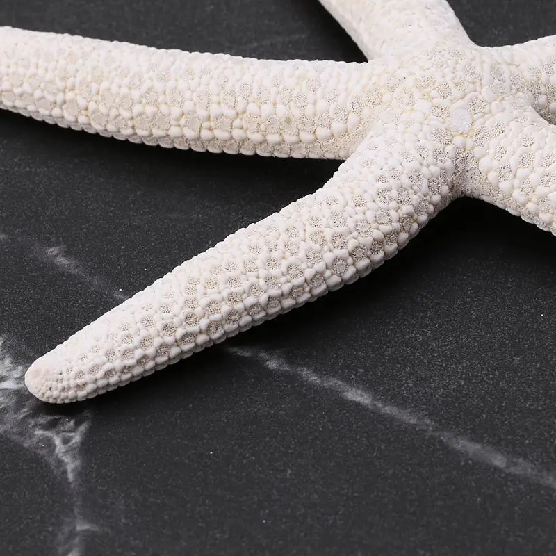 Белый натуральный морской звездой ремесло орнамент Природный морской звезды DIY пляжный домик Свадебная вечеринка Декор комнаты