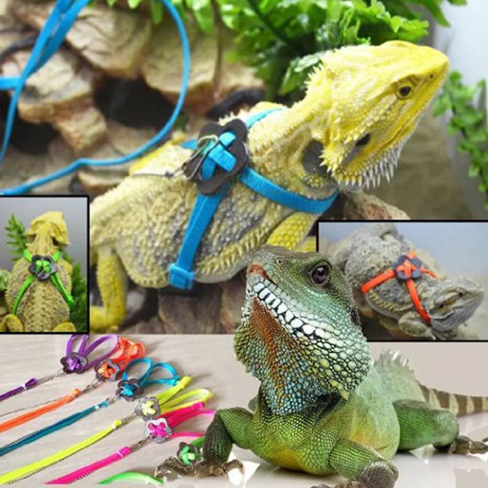 Adjustable Reptile Lizard Harness Leash Training Walk Leash Hauling Cable Rope 
