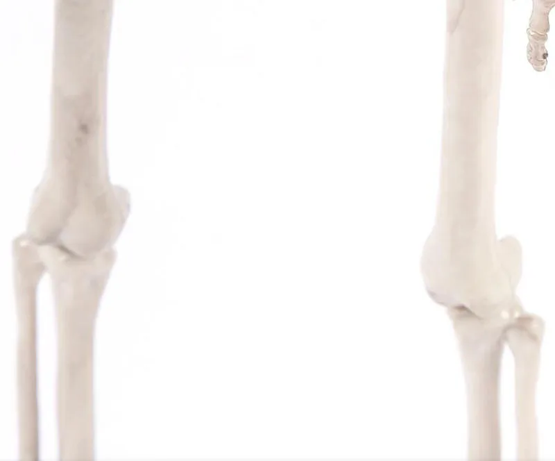 Cosplay&ware 1pairslot Halloween Decoraions Horror Skeleton Frame Haunted Ghost Bride Bridegroom Couple Party -Cosplayware Store