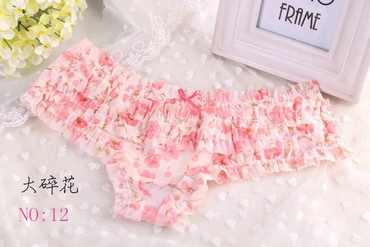 Free shipping 5pcs/lots Women's cotton panties Factory single lace panties briefs lace underwear sexy Cute Girl briefs C010