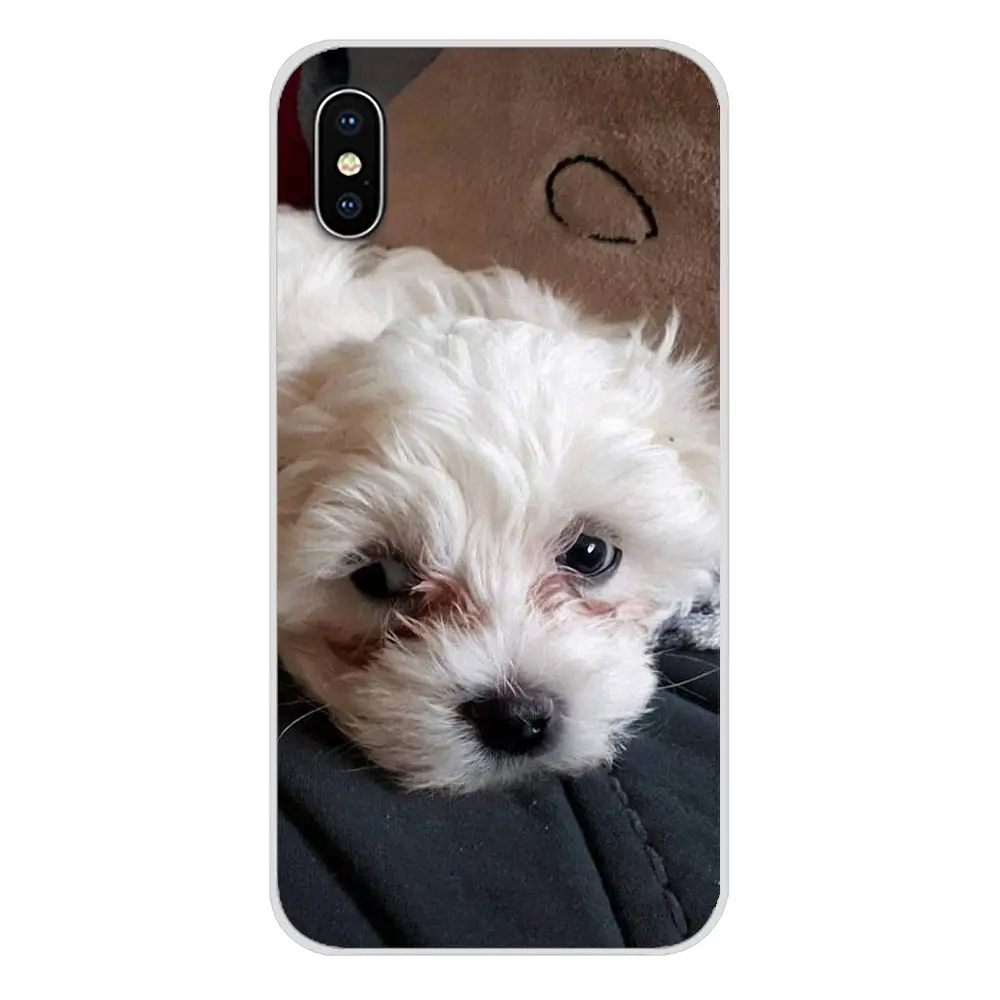 Чехол для мобильного телефона I Love My Maltese dog puppies Nokia 2 3 5 6 8 9 230 3310 1 7 Plus LG Q6 X