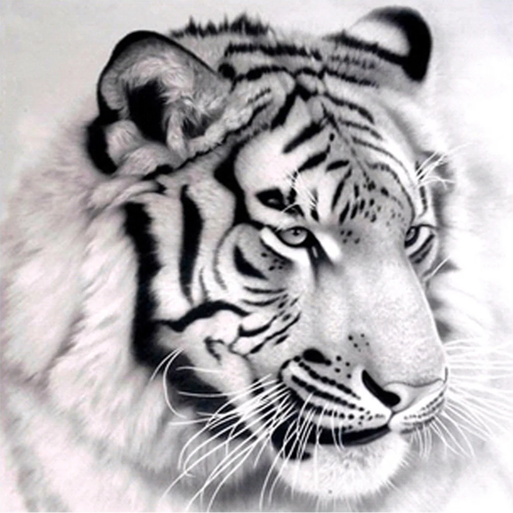

animal tigerDIY diamond painting cross stitch Full crystal mosaic 5D diamond embroidery tiger needlework home decor gifts AA364