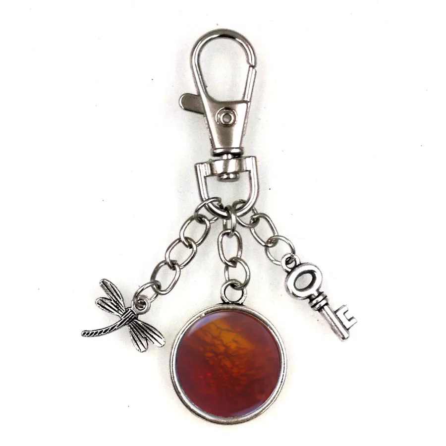 

outlander antique silver key dragonfly irish scottish KEYCHAIN ART DOME CAMEO lallybroch diffuser ember KC024