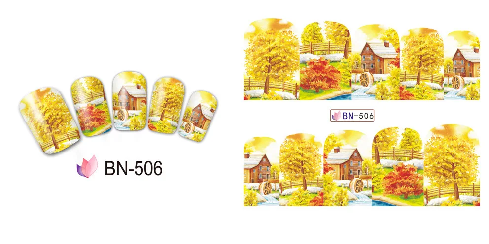BN506