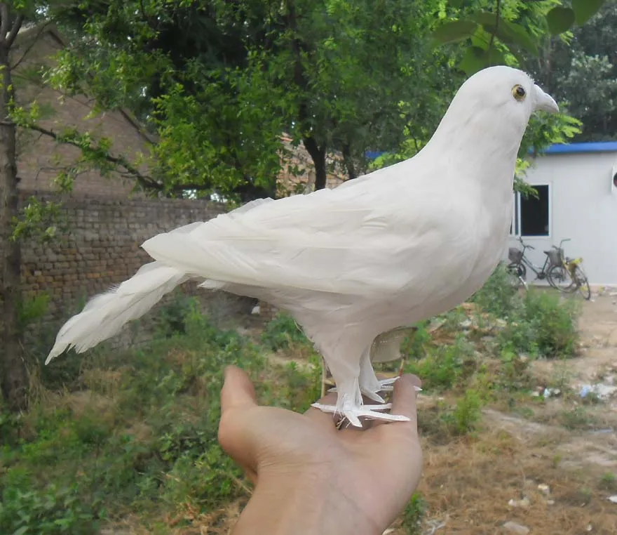 

30cm white feathers dove bird ,Handmade model,polyethylene& feathers peace bird,stage show props decoration toy gift w3924