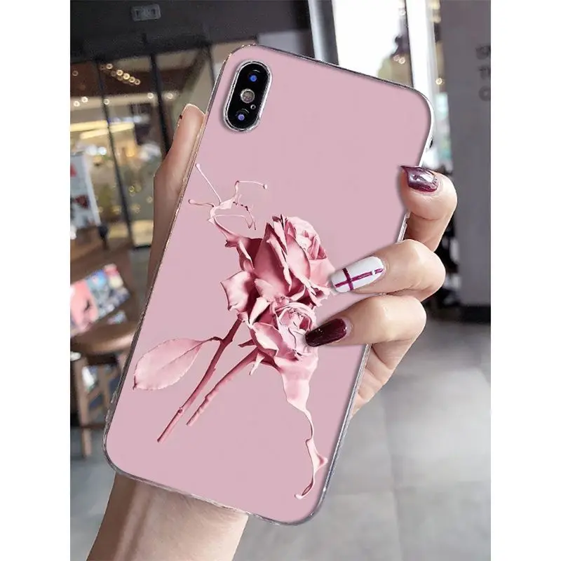 Newest special stylish and beautiful rose