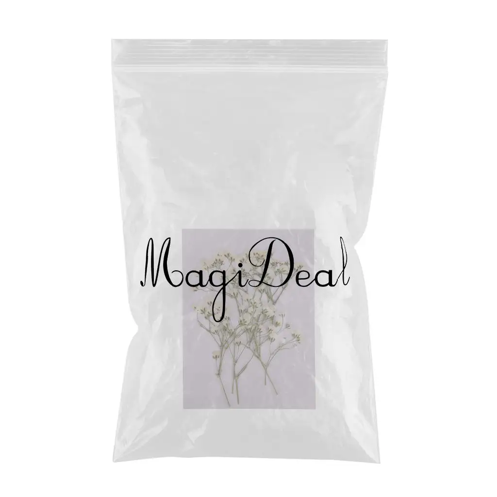 10pcs  Real Pressed Dried Flowers Natural Dry Babys Breath Flowers DIY Making Card Handmade Resin Crafts Scrapbooking Art Crafts