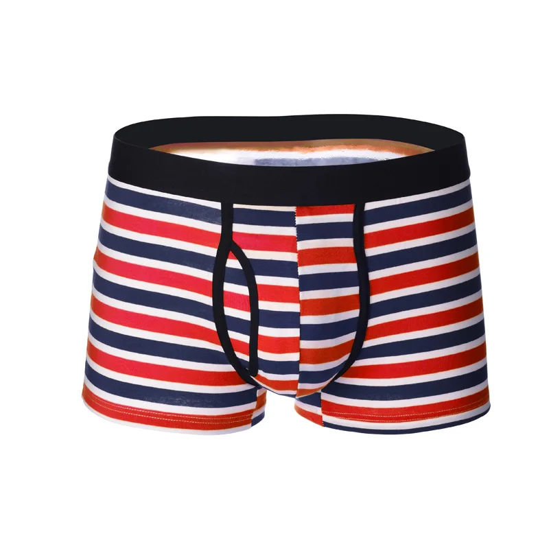 boxer red