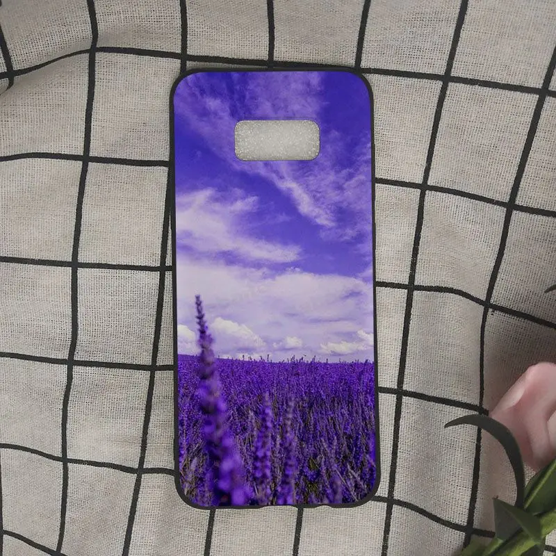 Simple lavender Purple flowers