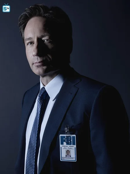 David Duchovny The x-файлы сезон 10 Холст Картина винтажный постер винтажные DIY настенные