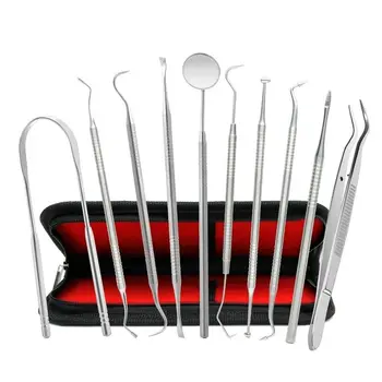 

10Pcs/set Stainless Steel Oral Clean Kit Dental Examination Oral Care Tool Set