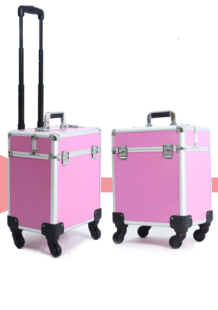 case (1)