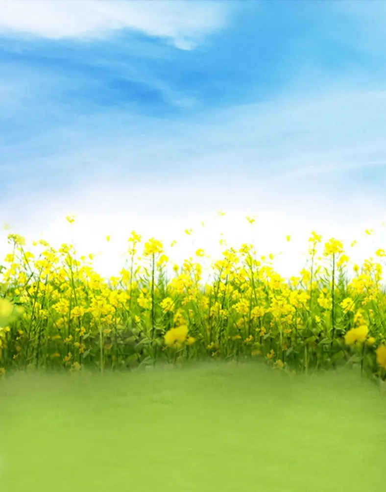 

5x7ft Yellow Flowers Grass Blue Sky Photography Backdrops Photo Props Studio Background