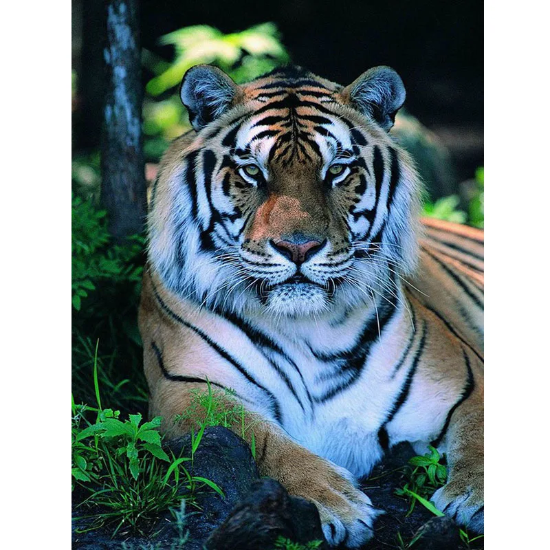 

5D DIY Diamond Painting Cross Stitch Sleeping Tiger full Round Resin Diamond Mosaic Diamond Embroidery Home Decoration