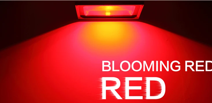 HTB1b812SFXXXXXEXFXXq6xXFXXX7