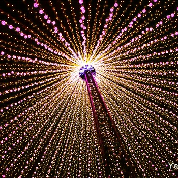 10 Meter Led String verlichting 100 Leds met Controller voor kerstboom Huis binnenplaats Party Garden Holiday Decor 110 V /220 V Q