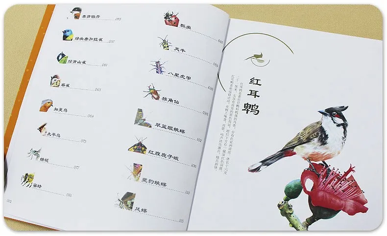 Китайский Цвет карандашный рисунок красивая птица насекомых Книги по искусству живопись книга 116 страница