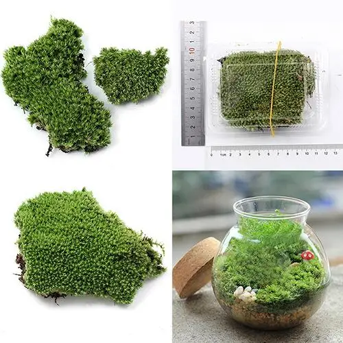 

Artificial Green Grass Moss Plant Ornament Miniature Artificial Plants Moss micro landscape accessories Home Party garden Decora