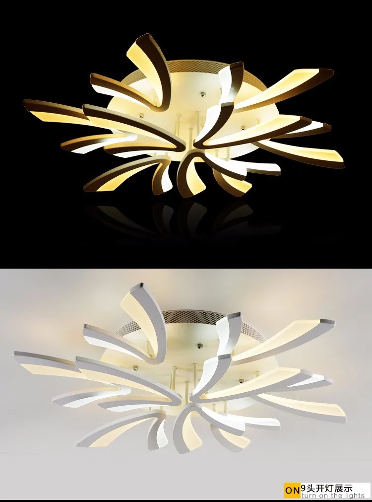 3506466517_1019503663