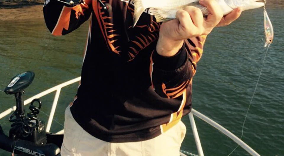 DW35---Y-_25