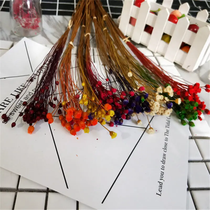 

7 Color Bouquet Happy Flower Dry Flower Eternal Flower House Decoration Photo Props