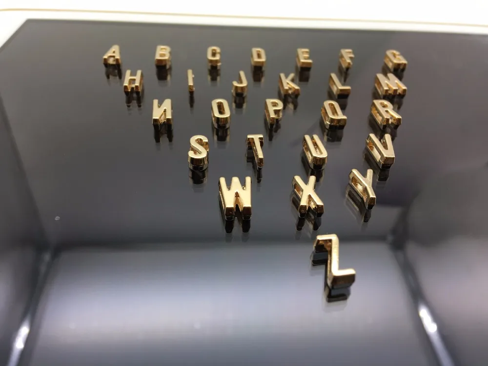 4411451911_175003300