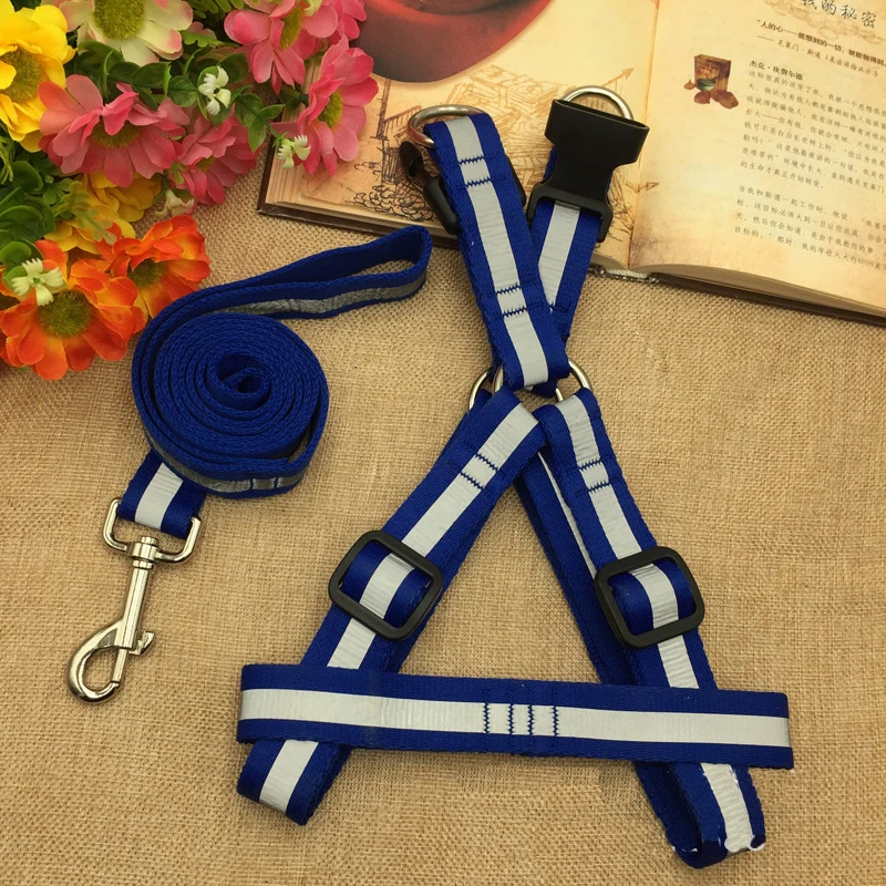 Dogs collars accessories reflective leash Labrador 9