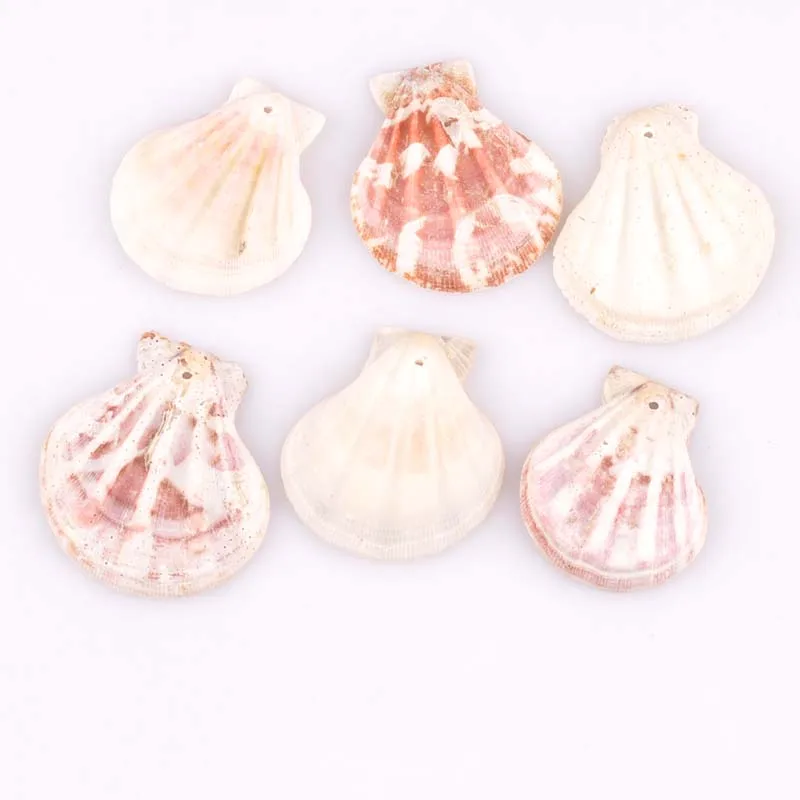 

35-40mm Natural sector Sector Shell for handmade DIY Scrapbooking Craft 10pcs no hole TRS0222