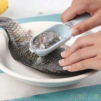 

Random Color 1Pcs Fish Skin Clean Remover Scraping Fish Scale Brush Graters Fast Remove Kitchen Gadgets