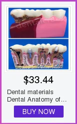 Alta Qualidade Dental Typodon Dentes Modelo - Ortodôntico Steelteeth M8017 39 High Quality Beleza e saúde